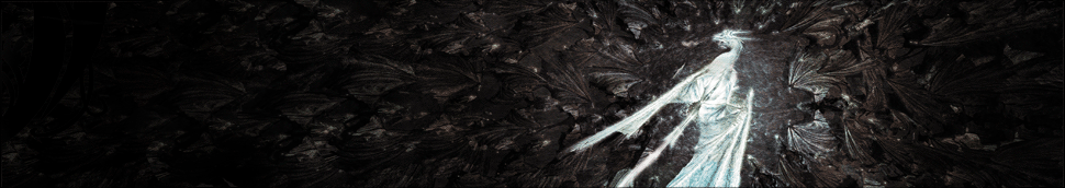 L'ange et le Dragon Tome 1